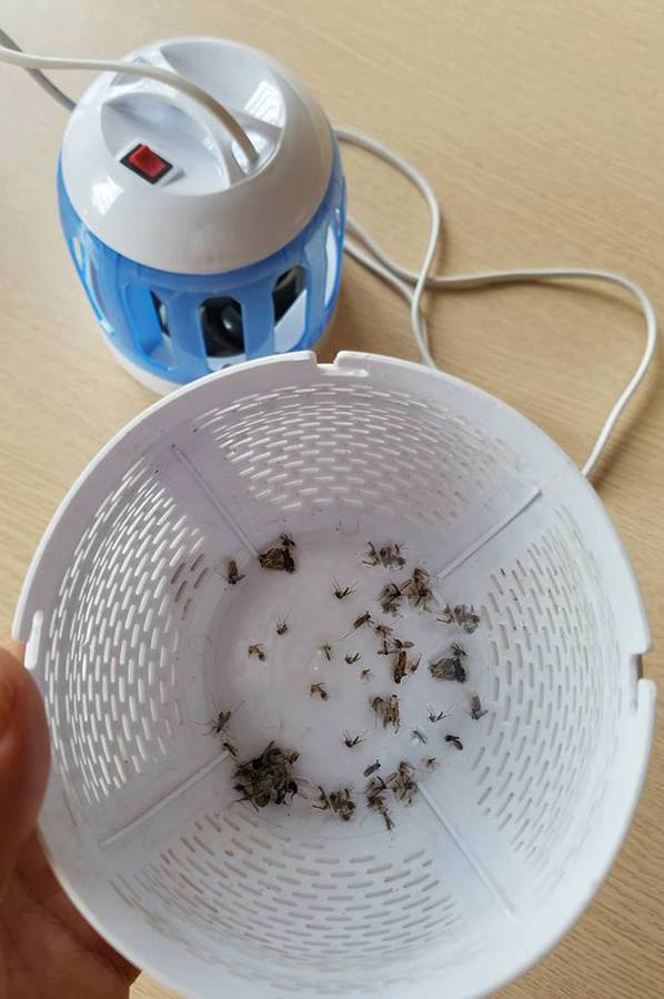 Đèn bắt muỗi sakura - nhật bản